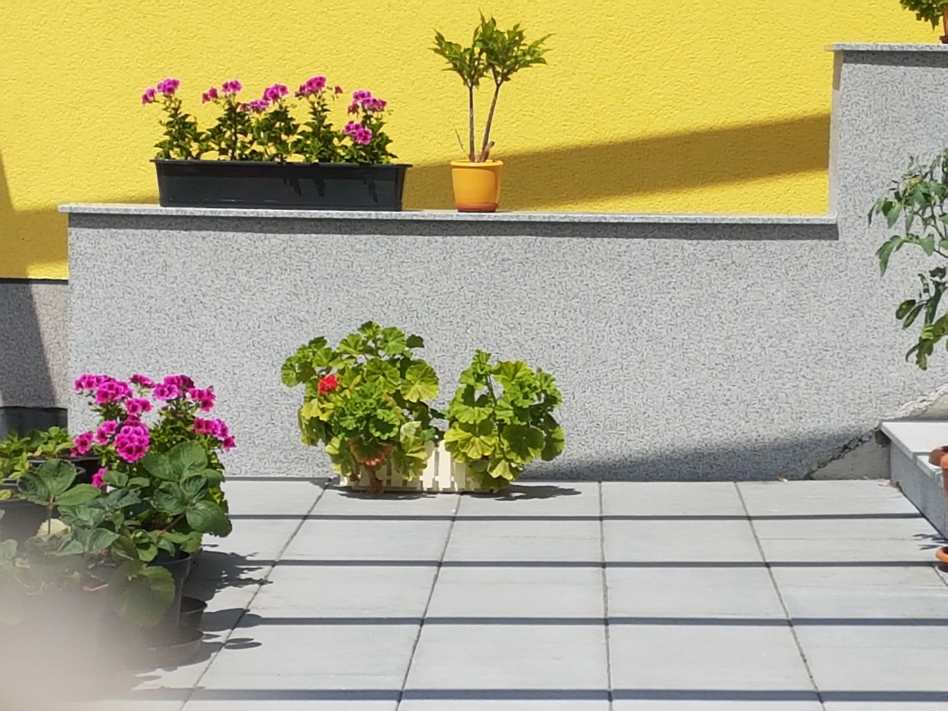 Sonnenschutz mit ZIP-Markise am Niederrhein – Montage in Wesel durch Bauelemente Wigezzy